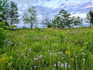 Sheridan Park - photo 40
