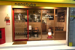 nanatubo image