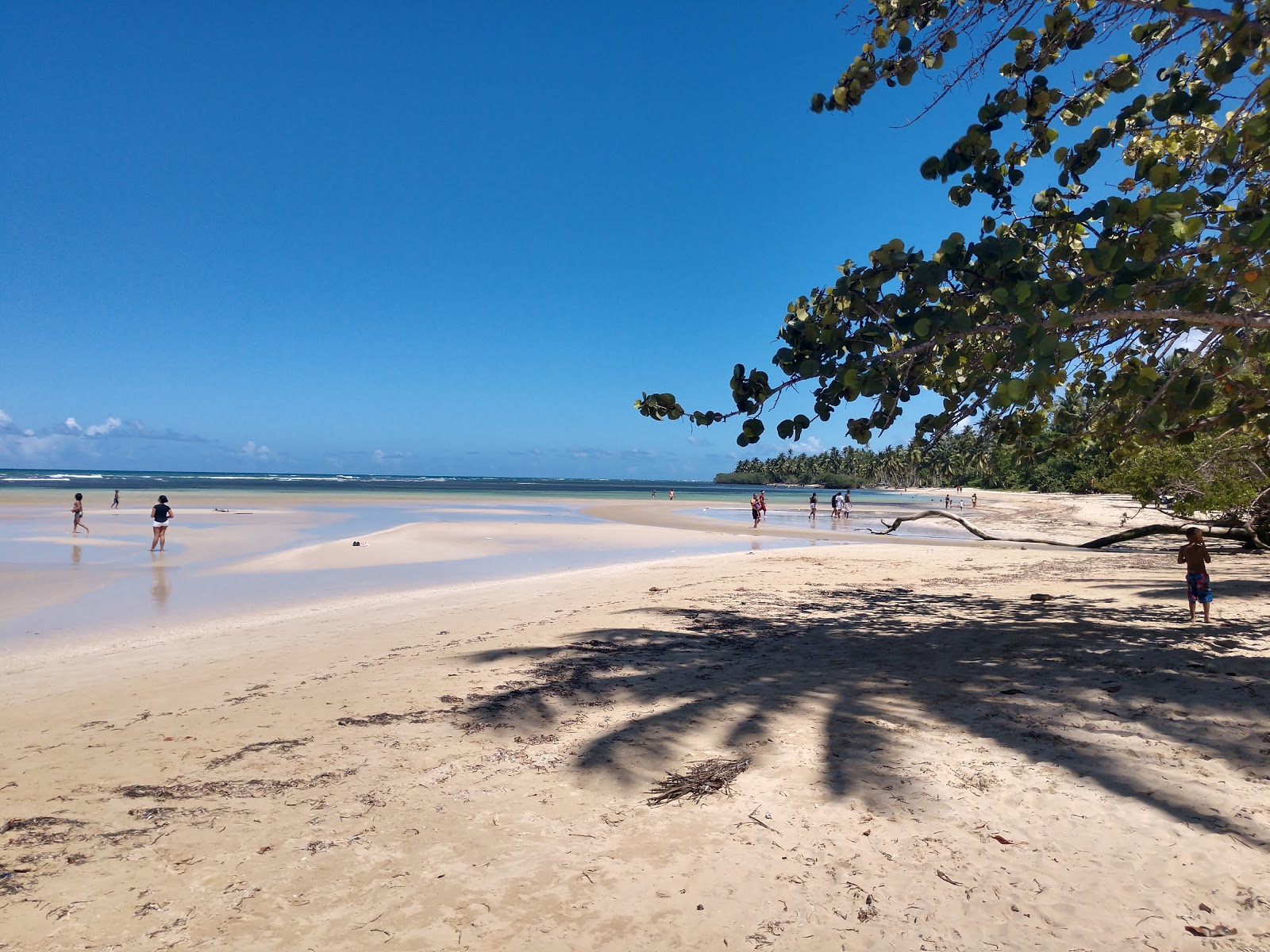 Foto de Praia de Calolima com alto nível de limpeza