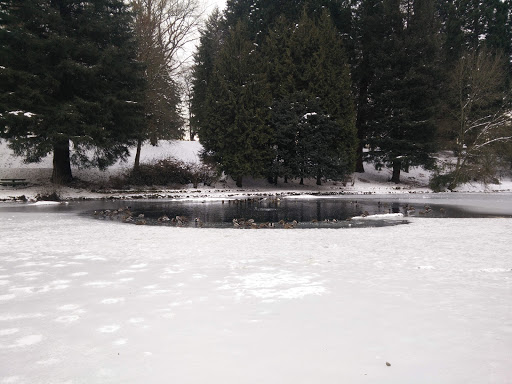 Park «Laurelhurst Park», reviews and photos, SE Cesar E Chavez Blvd & Stark St, Portland, OR 97214, USA