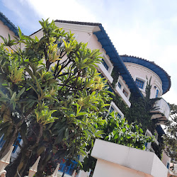 Hotel Vieja Cuba