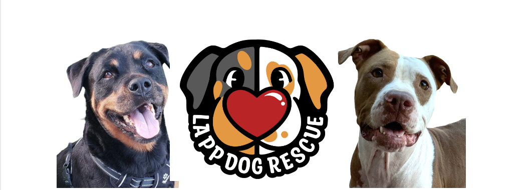 Love And Puppy Paws Dog Rescue (LAPP Dog Rescue)
