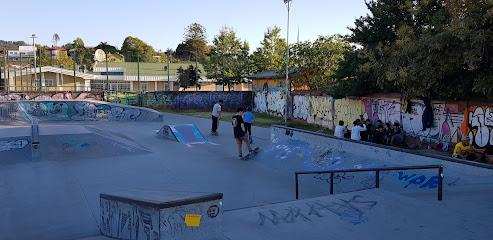 Skate Park Penco