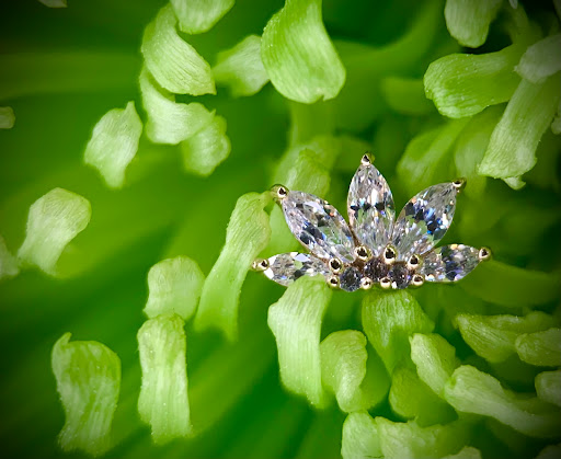 Explore tattoo ideas for women in arm, creative tattoo ideas in Chapel Hill, available at Spica Body Piercing