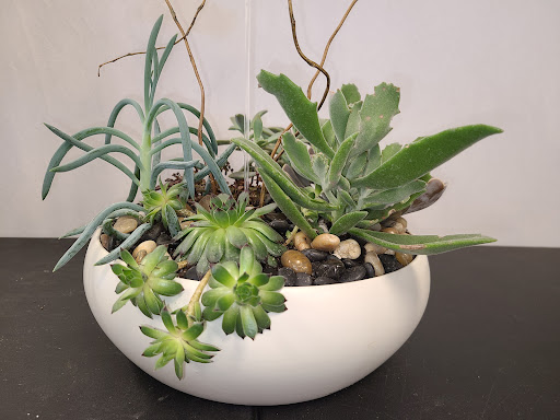 Florist «Casas Adobes Flower Shop», reviews and photos, 7090 N Oracle Rd #194, Tucson, AZ 85704, USA