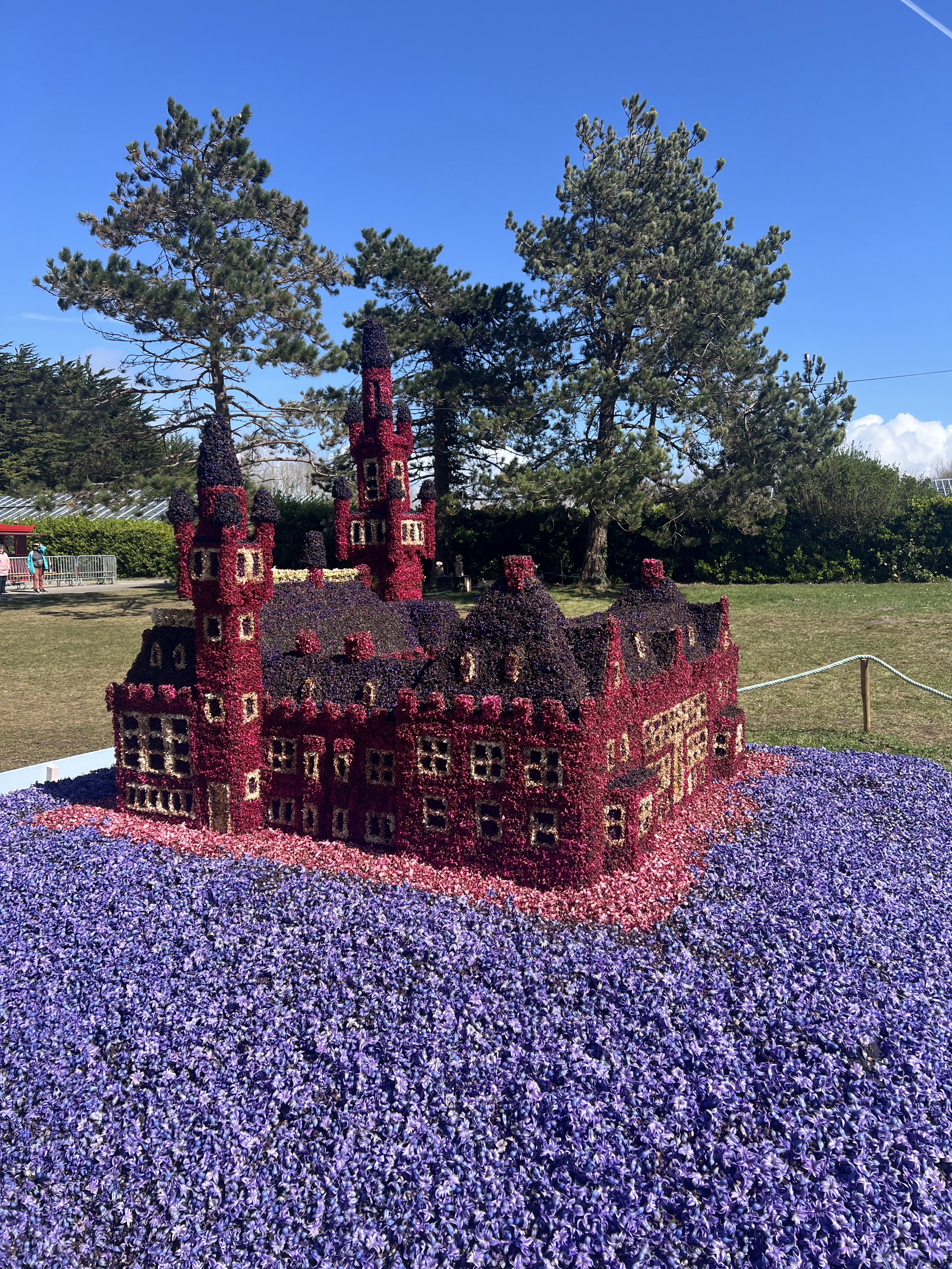 Photo n° 2 de l'avis de Camille. fait le 24/03/2024 à 18:29