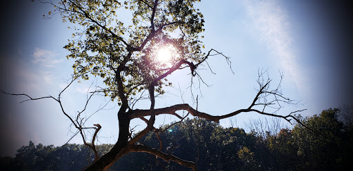 Historical Landmark «Mississinewa 1812», reviews and photos, 6000 N 300 W27, La Fontaine, La Fontaine, IN 46940, USA