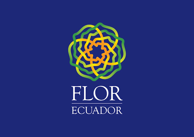 Opiniones de Flor Ecuador Party en Quito - Oficina de empresa