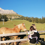 Photo n°3 de l'avis de Elisa.e fait le 08/09/2020 à 18:49 sur le  Restaurant Pizzeria Christomannos à Welschnofen