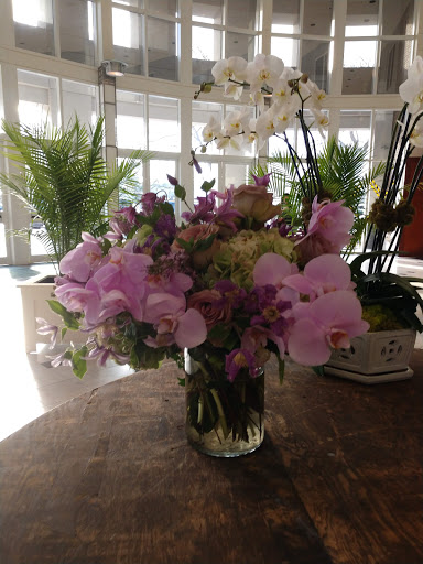 Museum «Orlando Museum of Art», reviews and photos, 2416 N Mills Ave, Orlando, FL 32803, USA