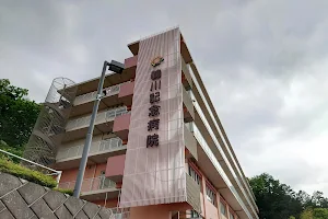 Tsurukawa Memorial Hospital image