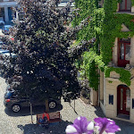 Photo n°5 de l'avis de Chris.u fait le 13/07/2023 à 20:03 sur le  Hotel Goldener Löwe à Meissen