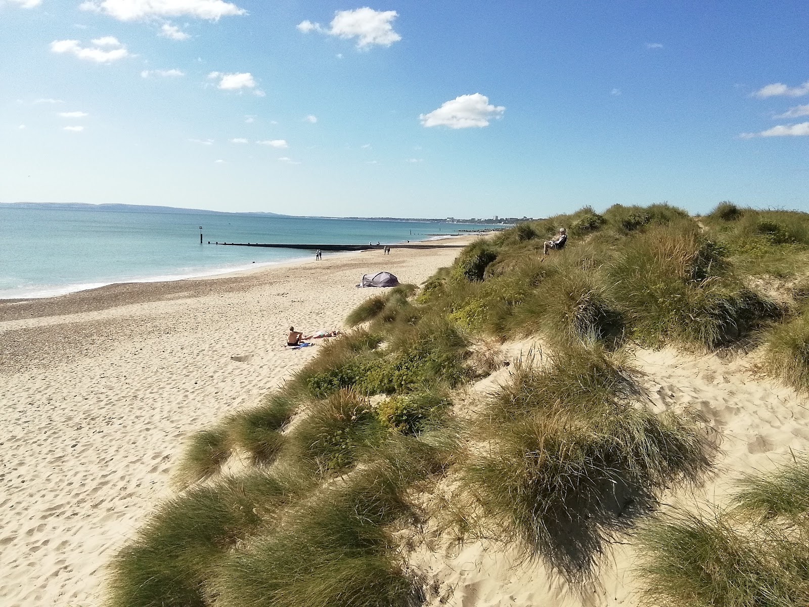 Fotografija Plaža Mudeford z svetel pesek površino