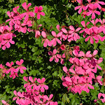 Photo n°9 de l'avis de Claudia.a fait le 03/04/2024 à 17:02 sur le  Boutique Hotel Sostaga à Gargnano