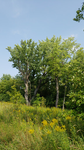 Park «Kargel Park», reviews and photos, 9301 Tamarack Rd, Woodbury, MN 55125, USA