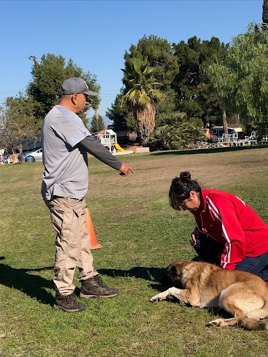 Golden State K-9 Training Academy