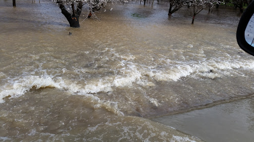 Scottys Landing image