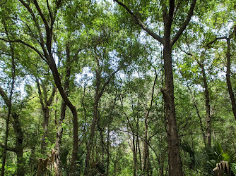 Seminole Wekiva Trail - Jones Trailhead