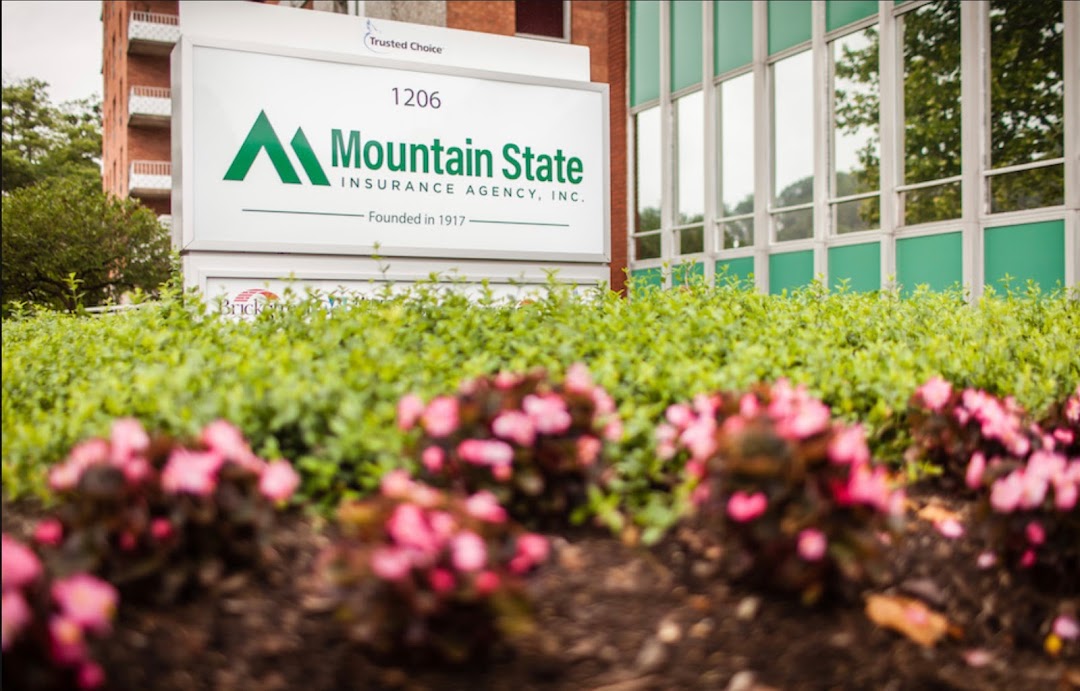 Mountain State Insurance
