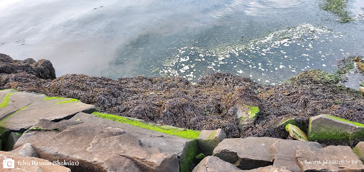 Park «Little Bay Park», reviews and photos, Cross Island Pkwy, Whitestone, NY 11357, USA