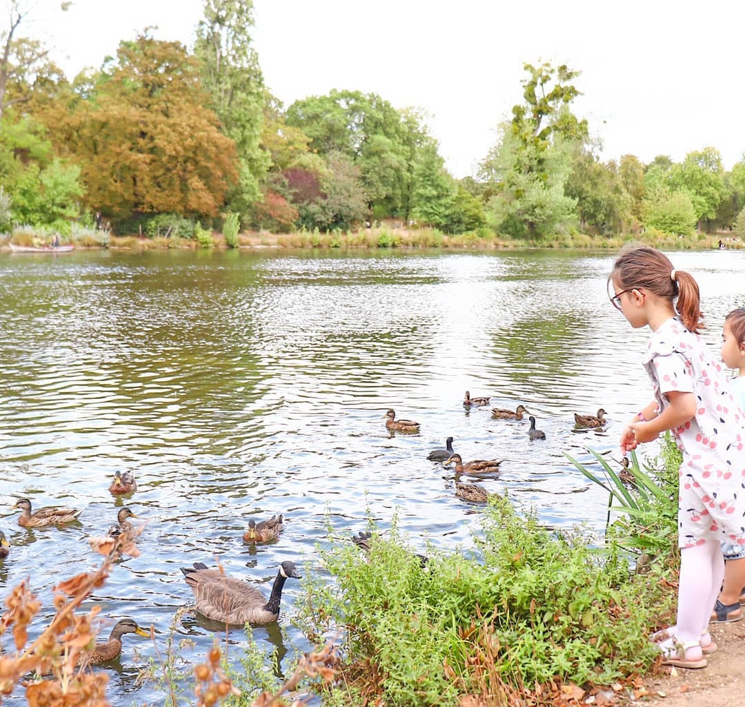 Photo n° 4 de l'avis de Annaelle.u fait le 04/10/2019 à 09:17