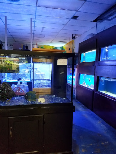 Tropical Fish Store «Aquarium Shoppe», reviews and photos, 2246 S Campbell Ave, Springfield, MO 65807, USA