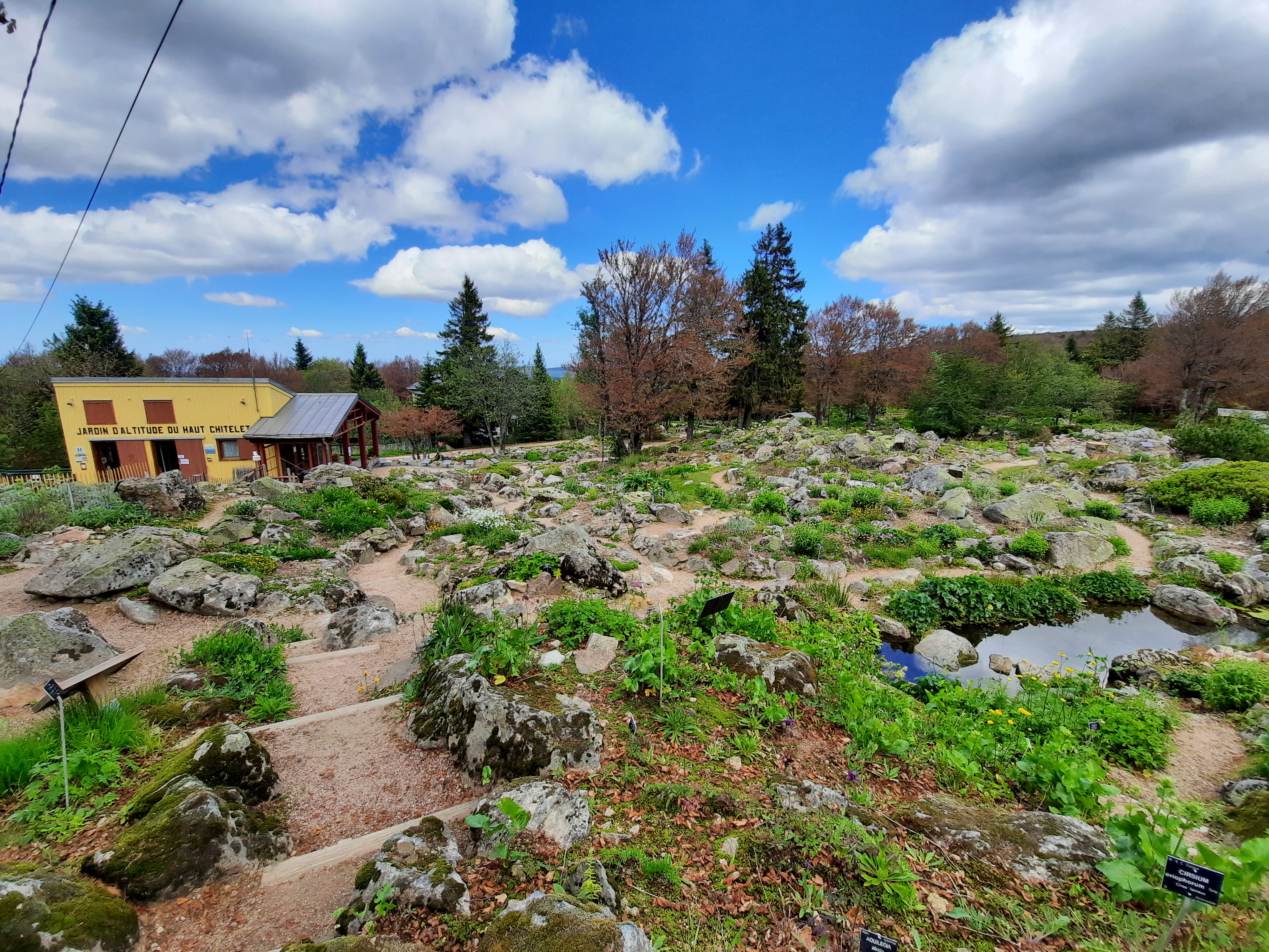 Photo n° 40 de l'avis de Victoria.e fait le 22/06/2020 à 21:37