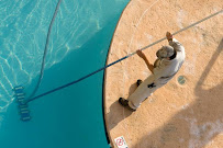 Palomar Pool & Spa - Photo 1 - Car repair in , Escondido