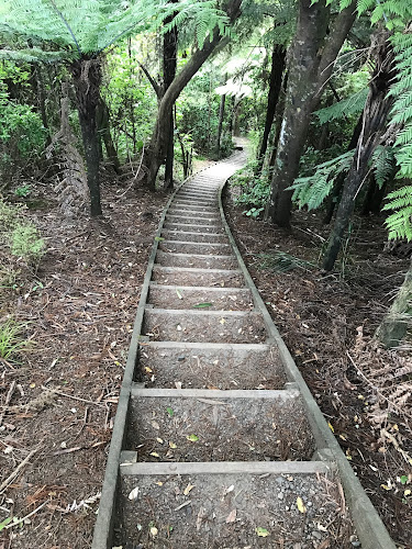 Bryant Memorial Scenic Reserve- Ngarunui Track - Other