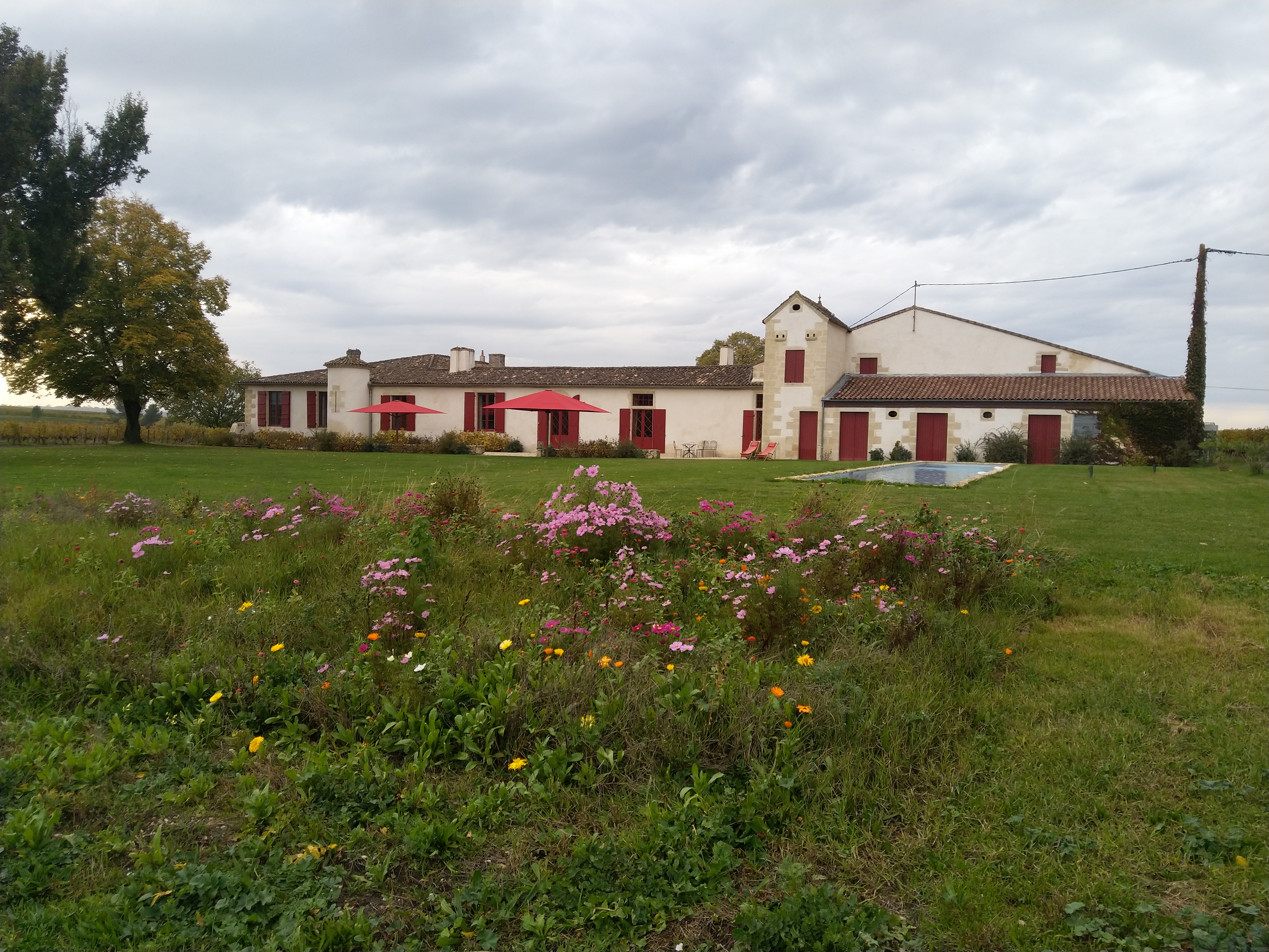 Photo n° 1 de l'avis de Thibaut.z fait le 23/10/2020 à 12:06