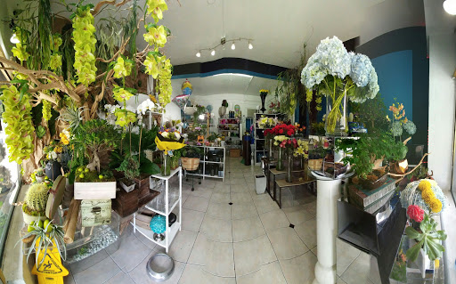 Florist «Andres Aguilar Designs», reviews and photos, 2425 Biscayne Blvd, Miami, FL 33137, USA