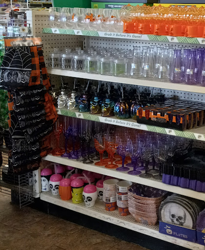 Dollar Store «Dollar Tree», reviews and photos, 2241 Citrus Blvd #107, Leesburg, FL 34748, USA