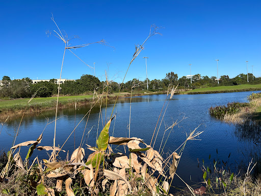 Golf Course «Celebration Golf Club», reviews and photos, 701 Golfpark Dr, Kissimmee, FL 34747, USA