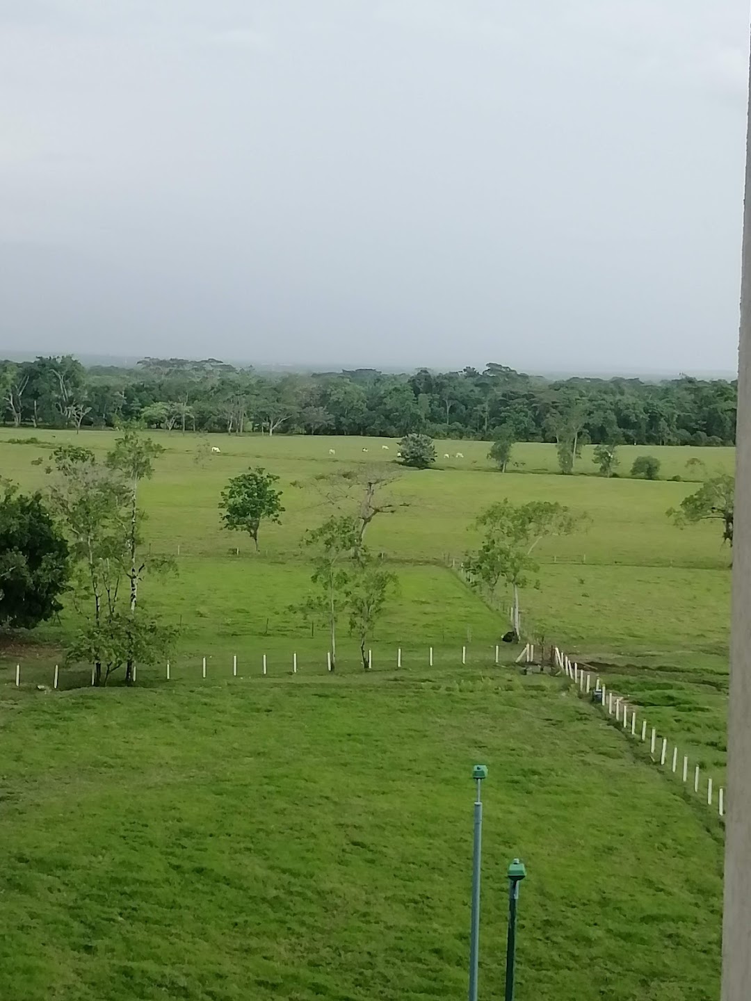 Parque Del Barrio Casita Nueva