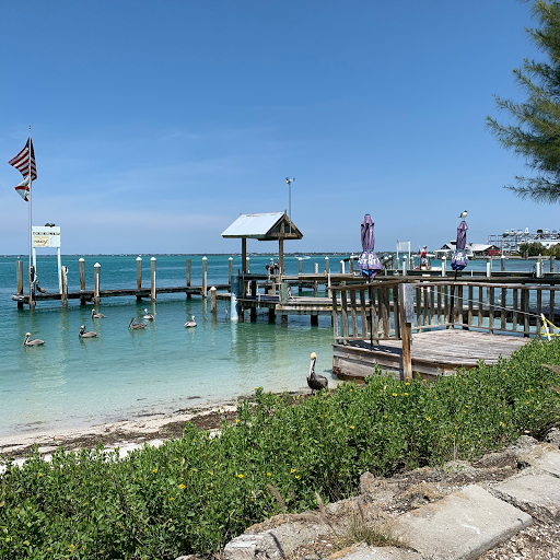 Insurance Agency «Tom Luscombe - State Farm Insurance Agent», reviews and photos