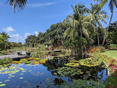 Naples Botanical Garden 4820 Bayshore Dr, Naples, FL 34112