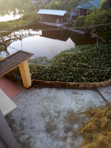 Ao Thôn