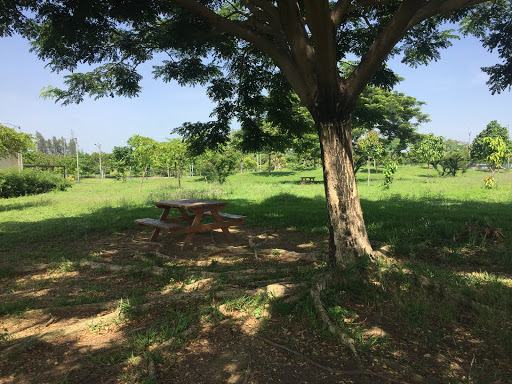 Área de pícnic