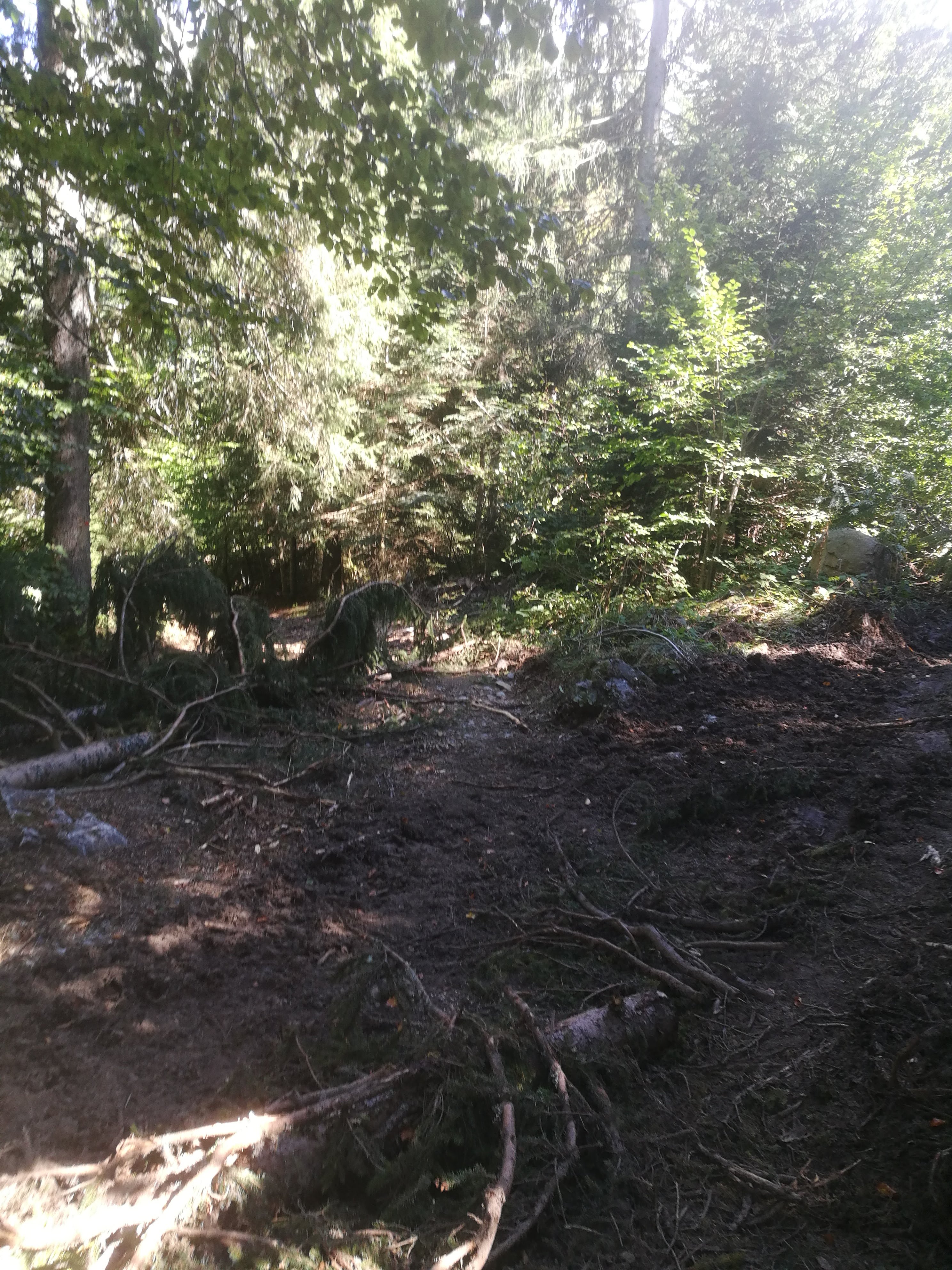 Photo n° 3 de l'avis de Rolland.a fait le 08/09/2020 à 14:44