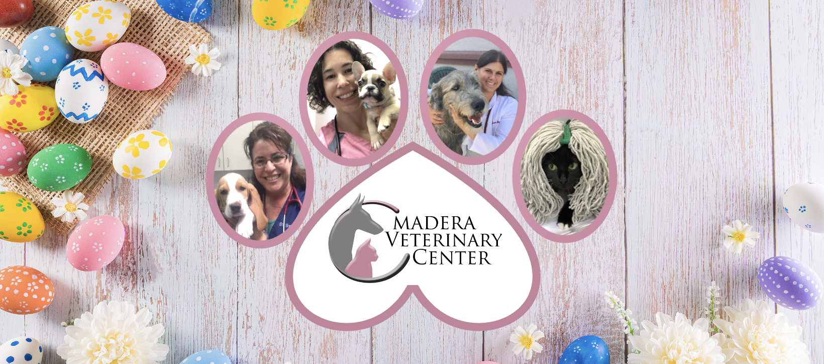 Madera Veterinary Center