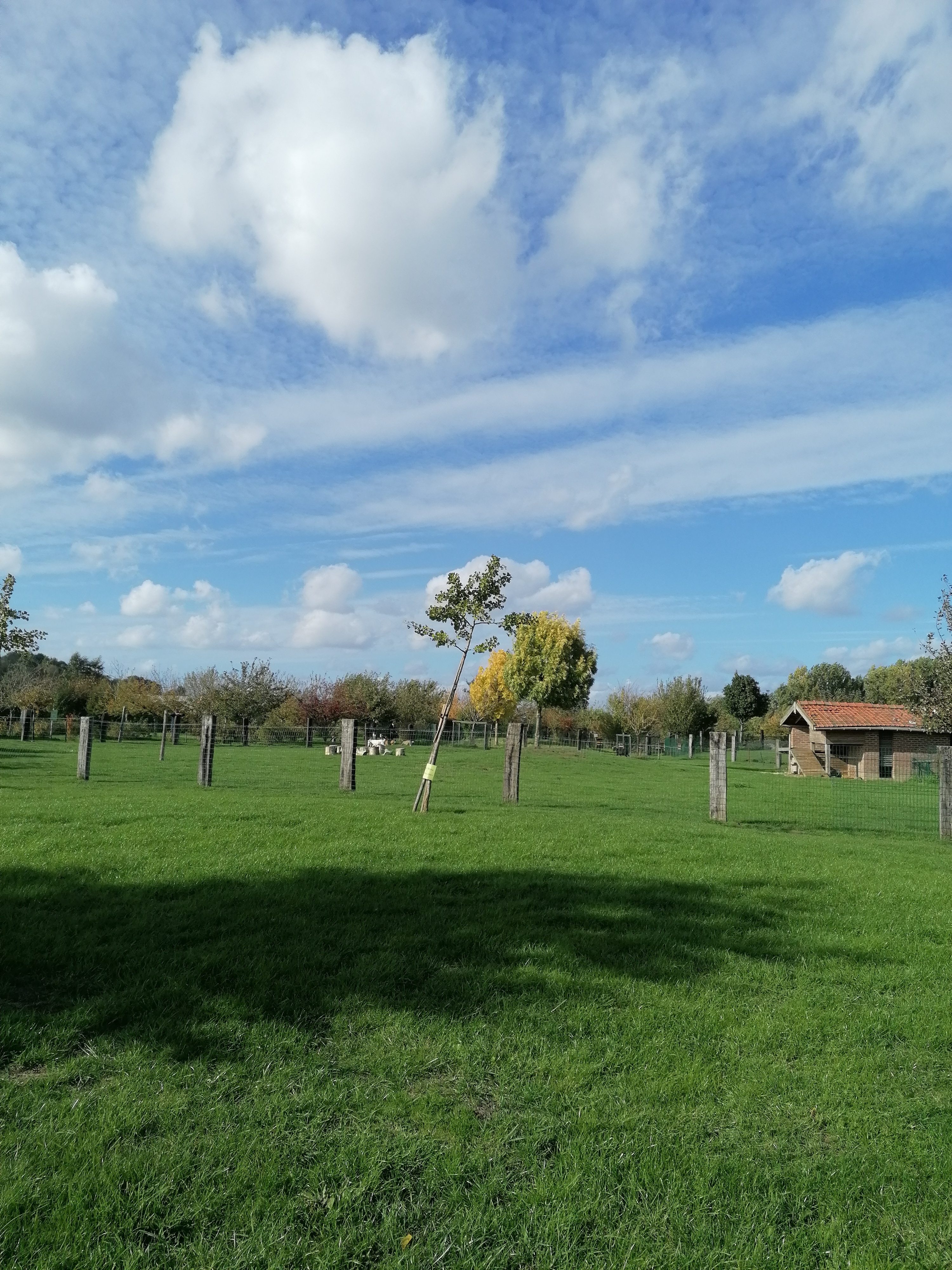 Photo n° 10 de l'avis de K. fait le 01/10/2022 à 21:28