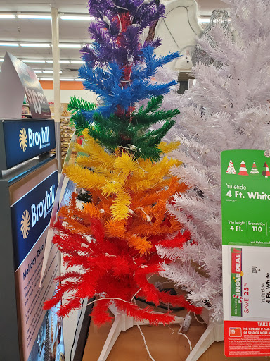 Discount Store «Big Lots», reviews and photos, 843 W Bloomingdale Ave, Brandon, FL 33511, USA