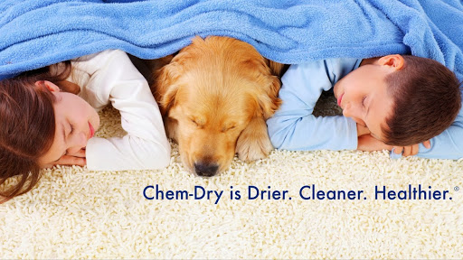 Carpet Cleaning Service «Chem-Dry of Tennessee», reviews and photos, 738 Nissan Dr C, Smyrna, TN 37167, USA