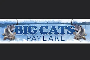 Big Cats Paylake image