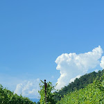 Photo n°10 de l'avis de Ludmila.o fait le 30/08/2023 à 11:59 sur le  Solder Agriturismo à Corno di Rosazzo