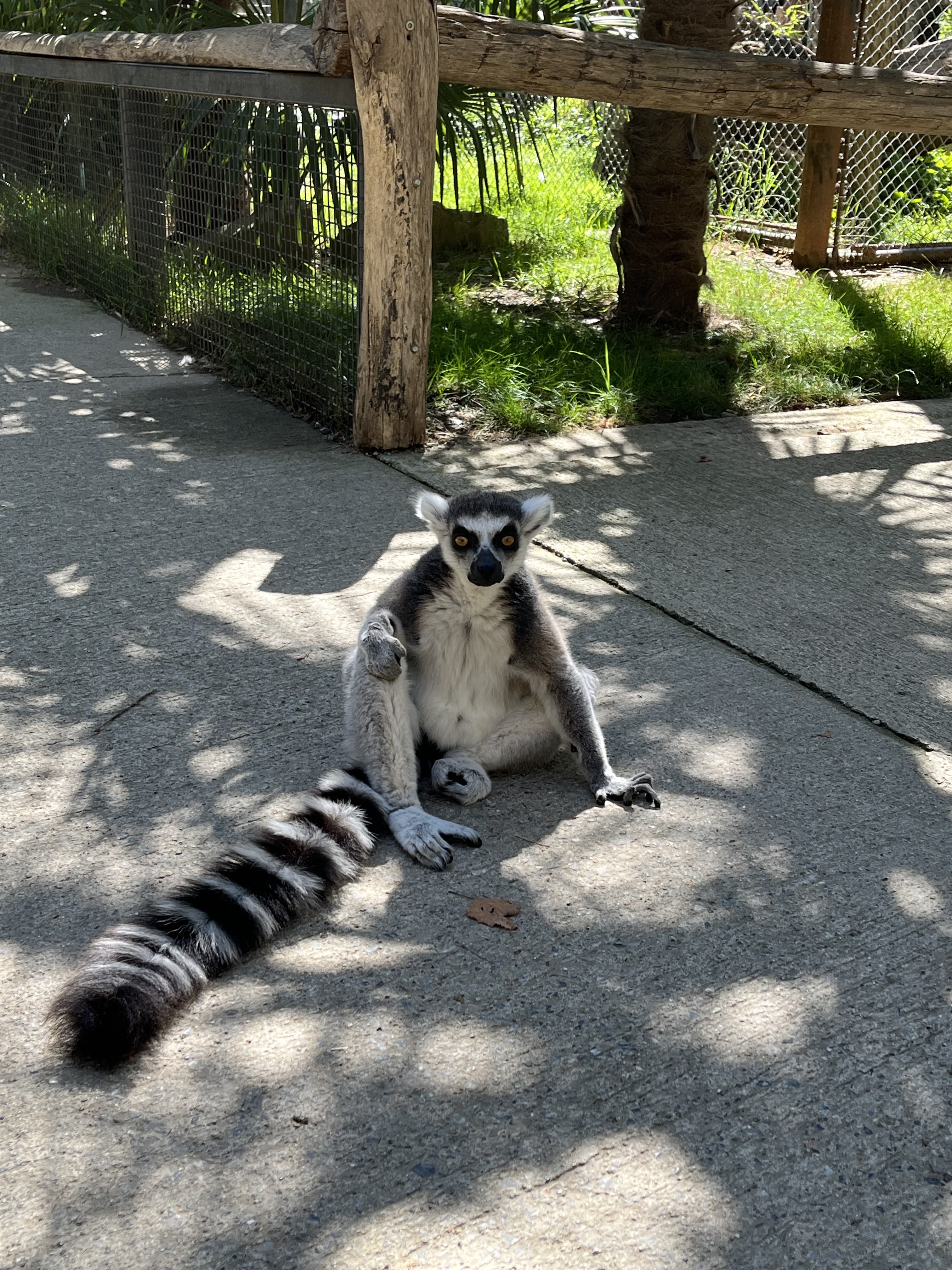 Photo n° 2 de l'avis de Clémence. fait le 06/08/2023 à 16:21