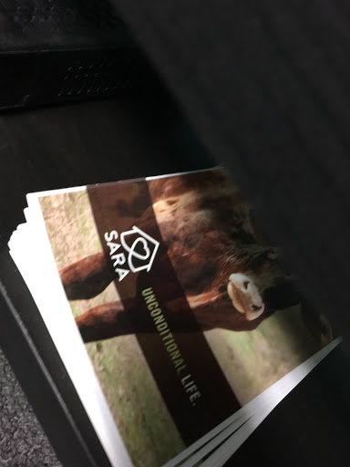 Find small tramp stamp tattoo ideas for your next unique tattoo in Round Rock at Golden Goat Tattoo Company