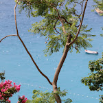 Photo n°7 de l'avis de Flavio.i fait le 10/08/2018 à 14:36 sur le  Eden Roc Hotel à Positano