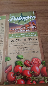 Palmyra à Saalfeld carte