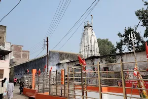 Shri Nageshwar Parshwanath Jain Temple - Ratlam District, Madhya Pradesh, India image